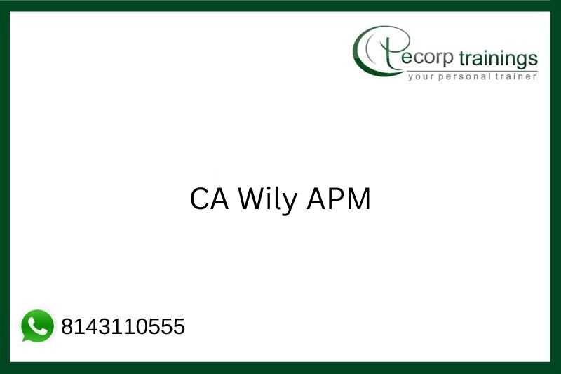 CA Wily Application Performance Management APM Training