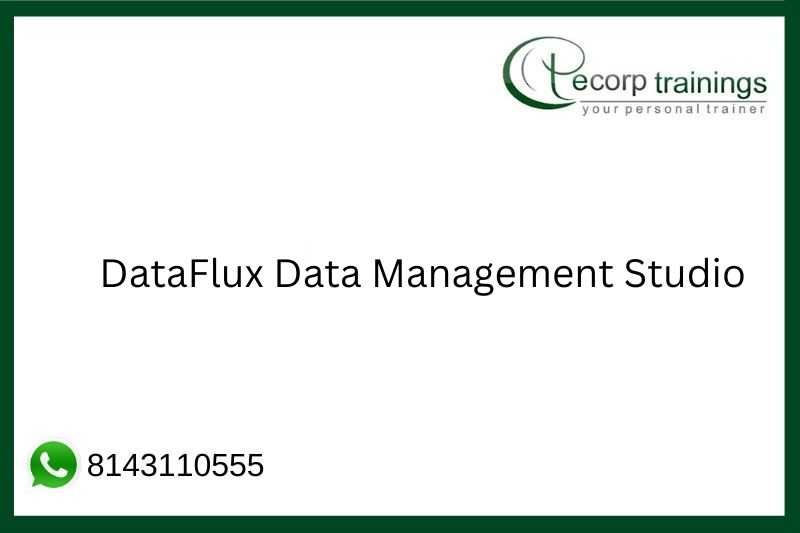 SAS DataFlux Data Management Studio Training in Hyderabad