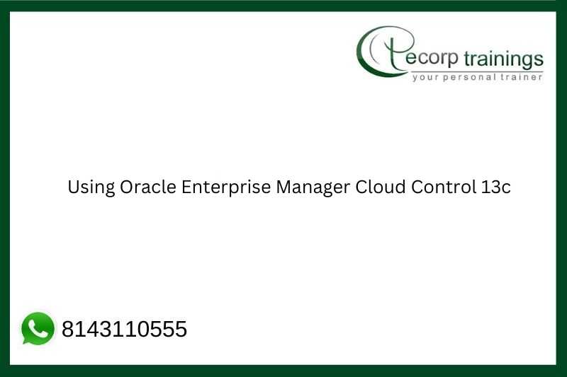 Oracle enterprise manager cloud control 13c как пользоваться